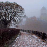 Туманные очертания Выборгского замка. :: Марина Шубина