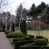 Ботанический сад :: Полина Воркачева