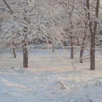 Белые снеги :: Aleks Kolesov
