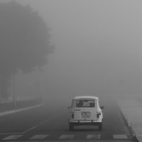 Утренний путь в тумане :: Alexander Freydin