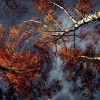 Осень :: Евгений Жиляев
