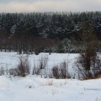 Зима :: Алексей Гладышев