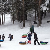 *** :: Олег Петрушов