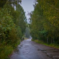 Путь домой. :: Станислав Сорокин