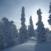 ... :: Сергей Соколкин.