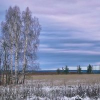 Первый снег :: Анатолий Катков