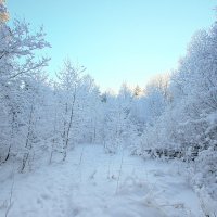 Снегодня :: Игорь Сорокин
