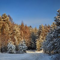 Зимняя зарисовка :: Анатолий Катков