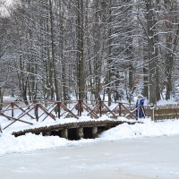 Беловежская сказка :: Ольга Рыбина