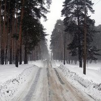 Зимняя дорога в лес :: Nick Nichols