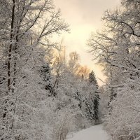 Зимний пейзаж :: Павел Чекалов