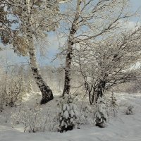 На Ваничевой горе :: ольга 