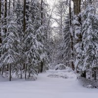 ... :: Валерий Молоток