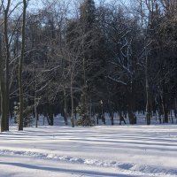 В парке :: Владимир Белов