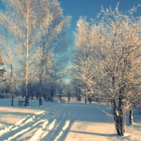Зима наконец-то пришла :: Juliya Fokina