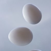 Фотосессия для яиц :: Вера Лазарева