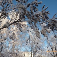 Городской парк. :: нина 