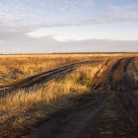 В дороге осенним утром. :: Лилия *