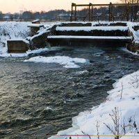 Не все подвластно морозу :: Елена Леонова