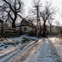 Сельская улица. :: Тарасова Наталья