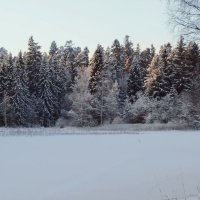 Зима :: Анна Коваленко
