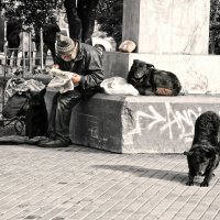 бездомные :: равил митюков