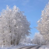 Дорожная :: Табаско Перчик