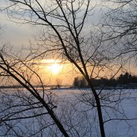 восход зимнего солнца :: Ольга Bilyk