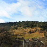 Волшебство Карпат :: Роман 