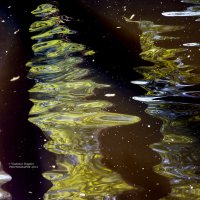 воды половодья на реке Сож в Гомеле :: Vladislav Rogalev