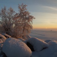 Зима на Финском заливе :: Lisa 