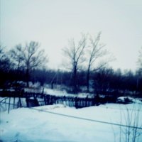 Сибирские зимы :: мася 