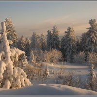 Зима-раскрасавица :: Владимир Тюменцев