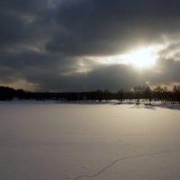 Зимняя прогулка в парке :: Наталья Солженикина
