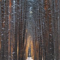 Свет в конце тоннеля... :: Александр Герасенков