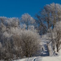 *** :: Максим Баранцев