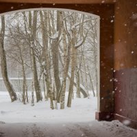 ХХХ :: Максим Воркунков