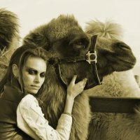 Фэшн с верблюдами :: Alsu Salachova