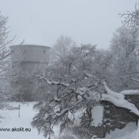 Fotostuudio Akolit, Tallinn :: Аркадий  Баранов Arkadi Baranov