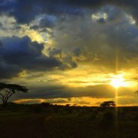 Кения. Закат. :: fototysa _