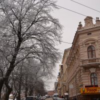 Зимние улицы :: Christina Batovskaya