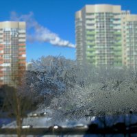 Морозное окно. :: Надежда Ивашкина