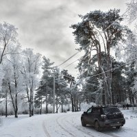 Зимние дороги :: Евгений Никифоров