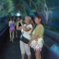 Русские туристки в аквариуме :: Сергей 