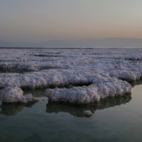Мертвое море 3 :: susanna vasershtein