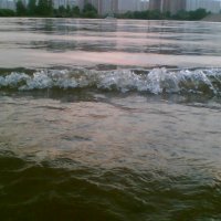 Волна на Москве реке :: Толя Толубеев