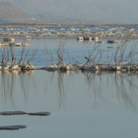 Мертвое море 5 :: susanna vasershtein