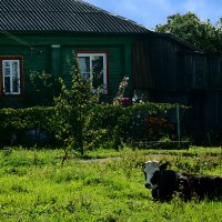 сельская идилия :: ник. петрович земцов