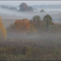 Золотая осень :: Михаил Розенберг