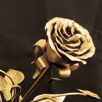 Золотая роза :: Владимир Оберемок